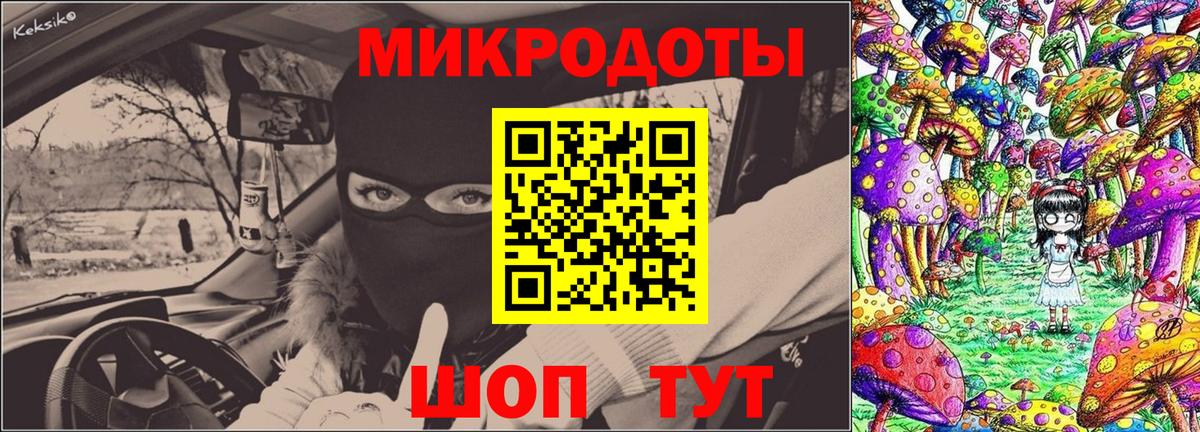 Ярославль  Псилоцибиновые грибы мухоморы  Вход с VPN  Псилоцибиновые грибы Psilocybe 