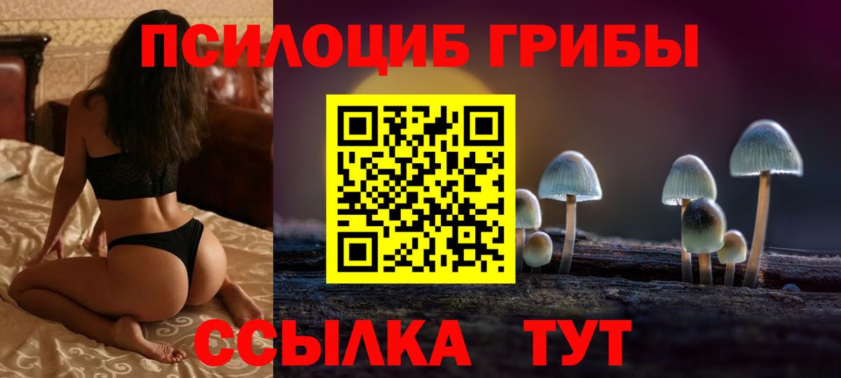 Меф Ярославль